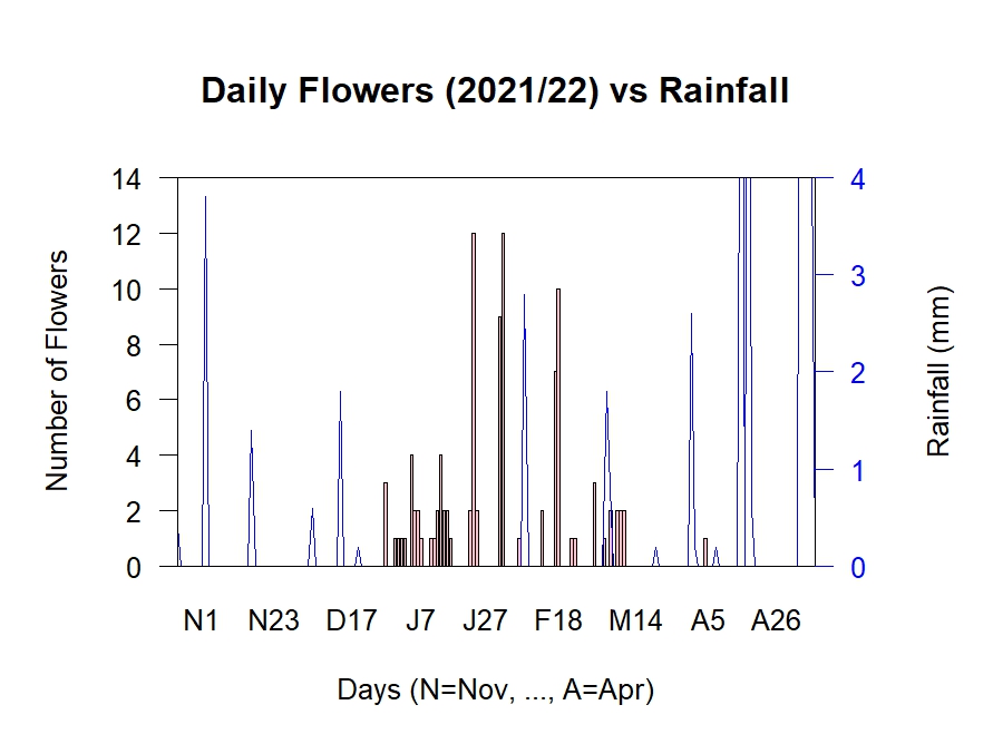 Flowers vs Rain 2021/22